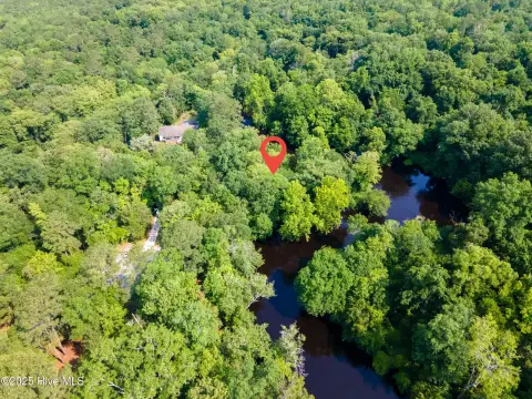 Trent River Wooded Residential Lot