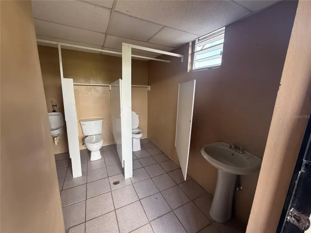 Picture 19