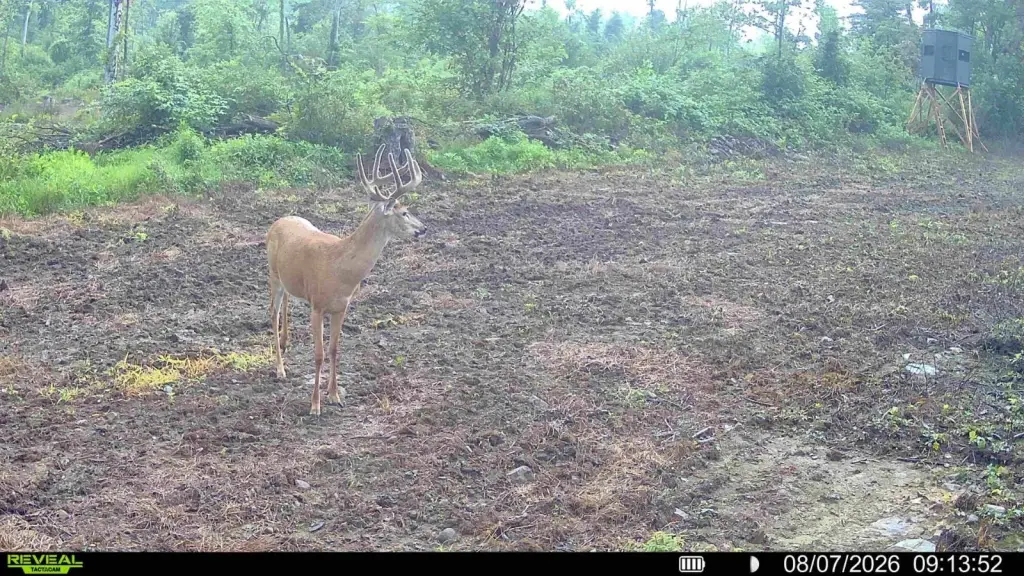 Picture 2