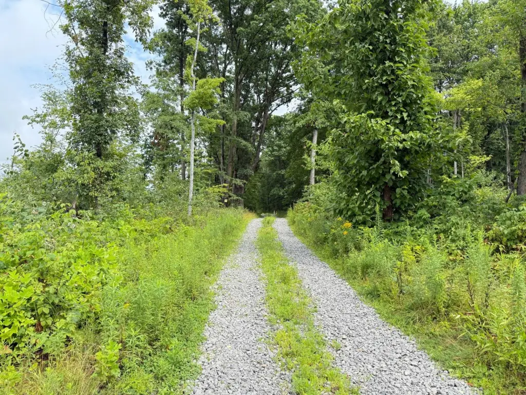 Picture 16
