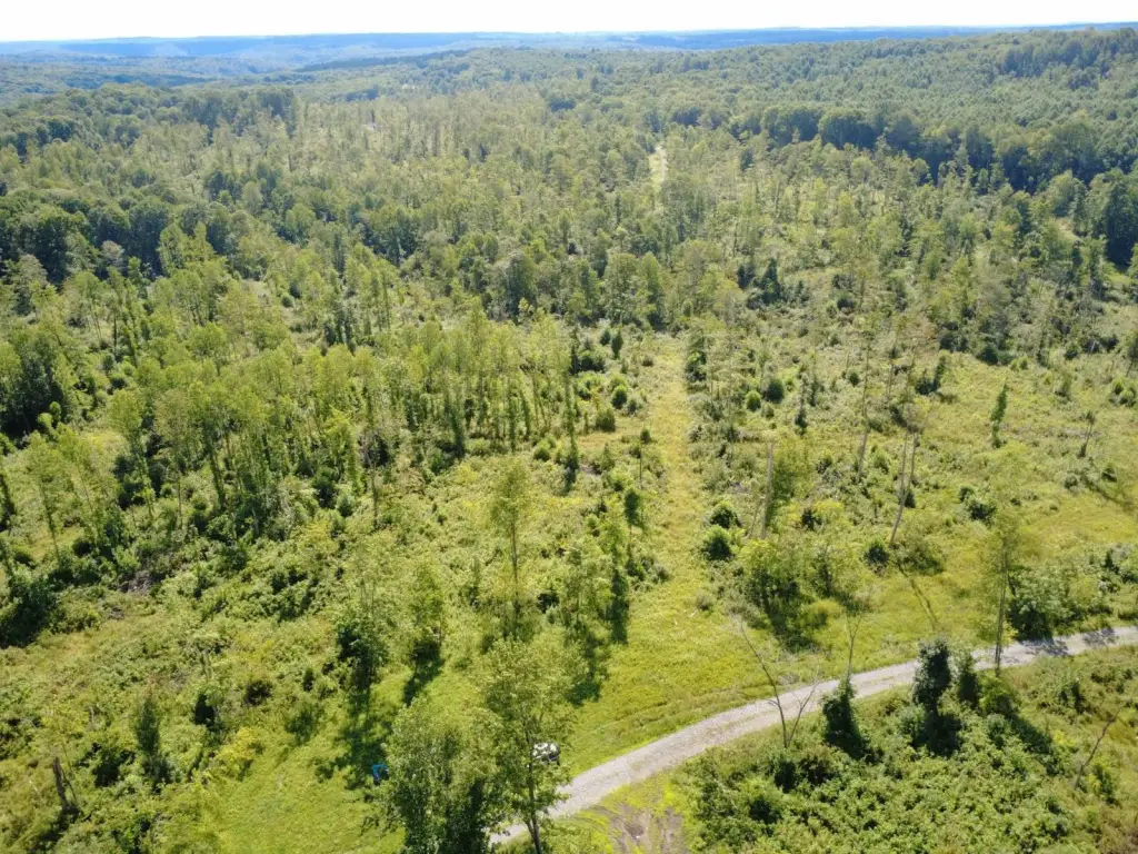 Picture 21