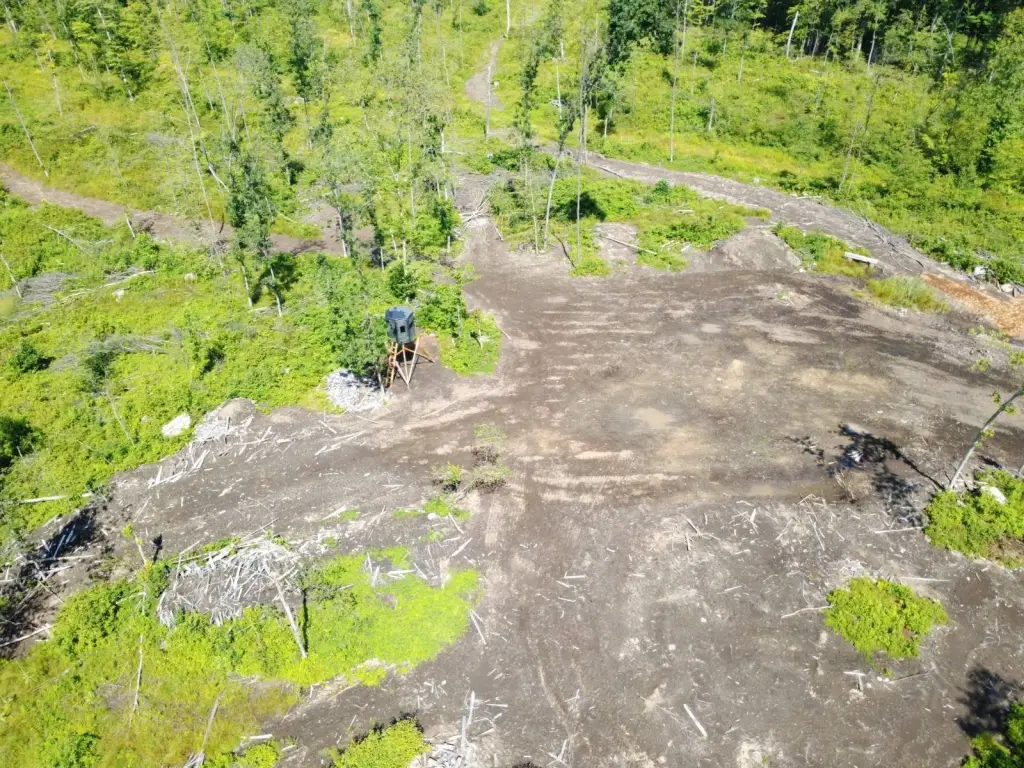 Picture 25