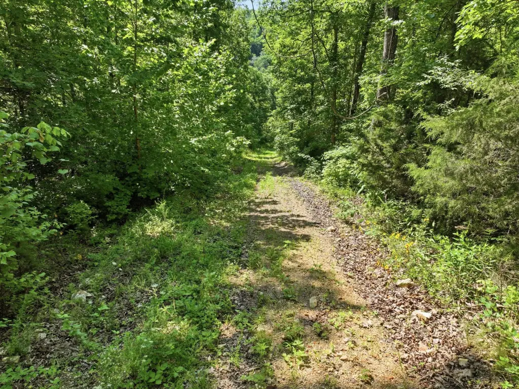 Picture 23