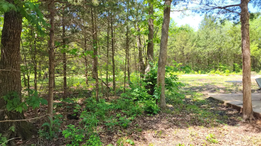 Picture 11