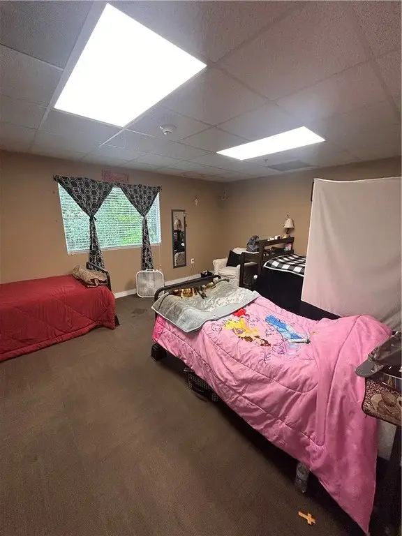 Picture 14