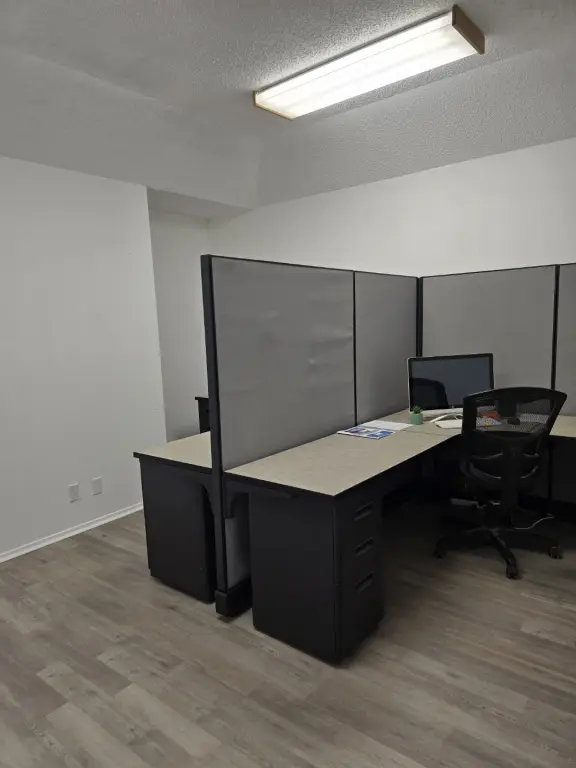 Picture 5