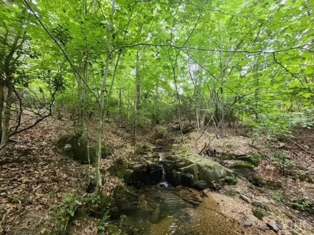 Picture 34