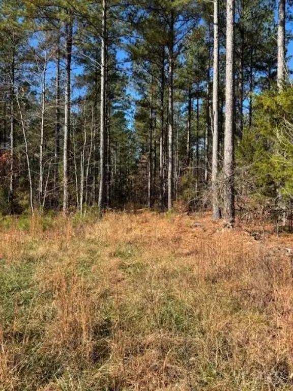 Picture 25