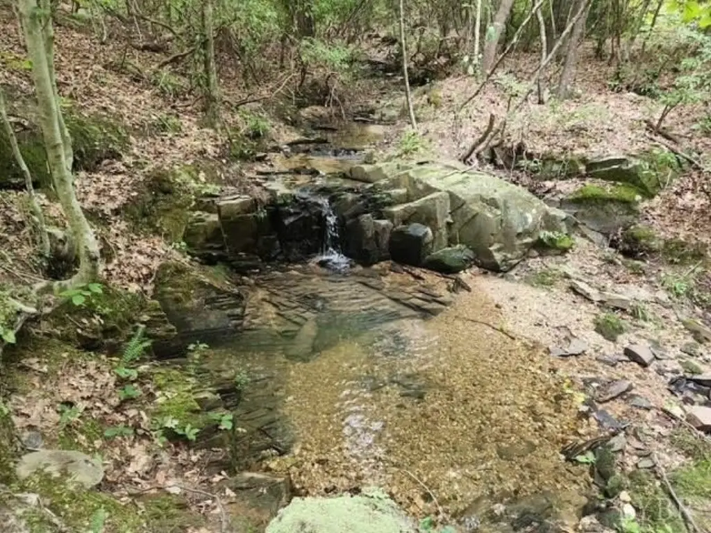 Picture 36