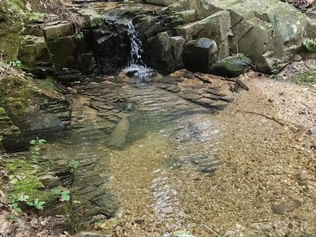 Picture 37