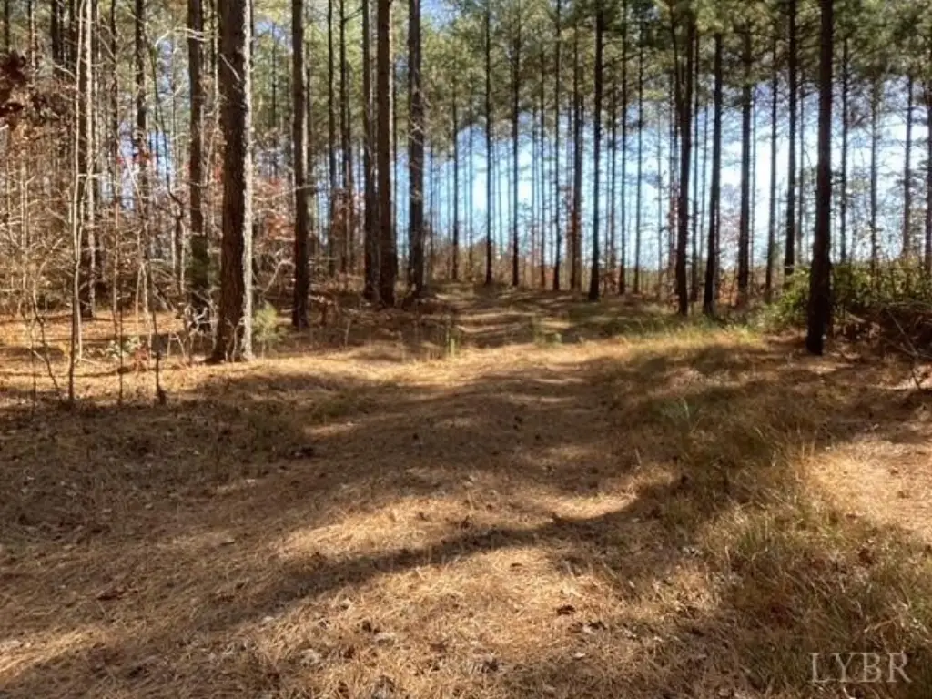 Picture 22