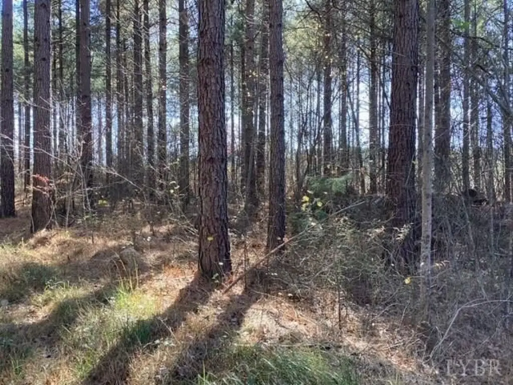 Picture 20