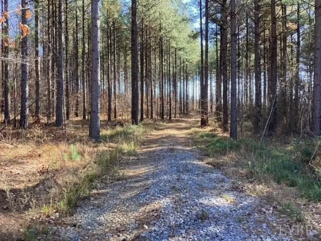 Picture 18
