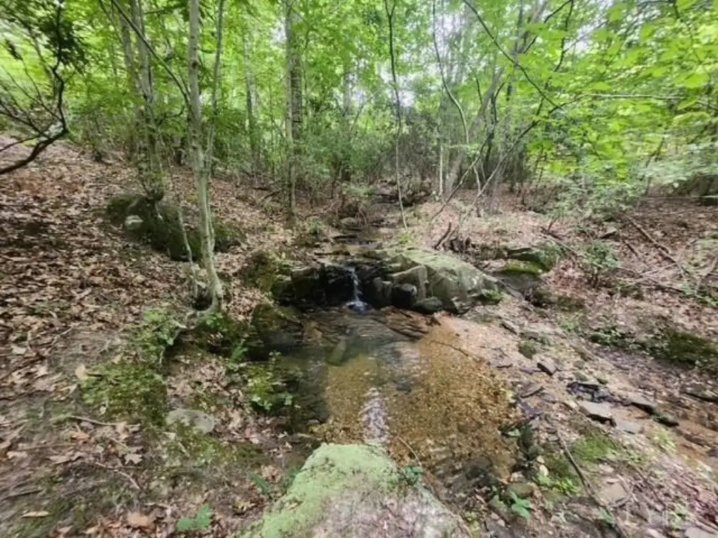 Picture 32