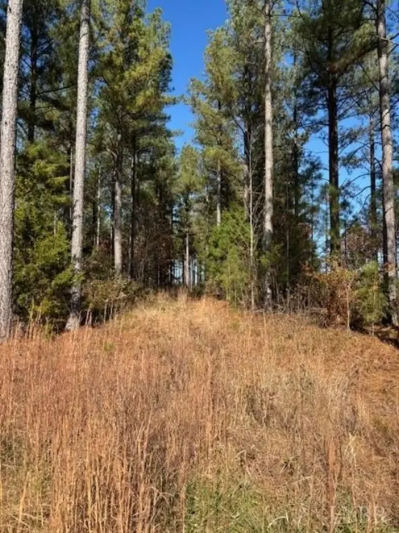 Picture 24
