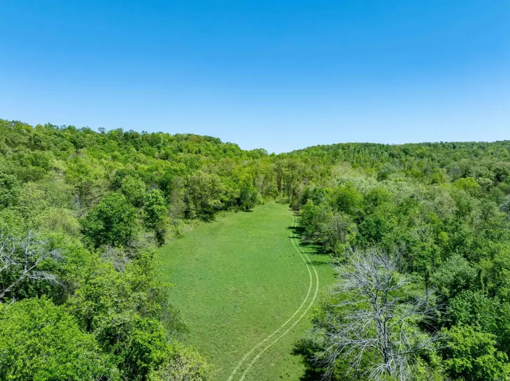 Picture 9
