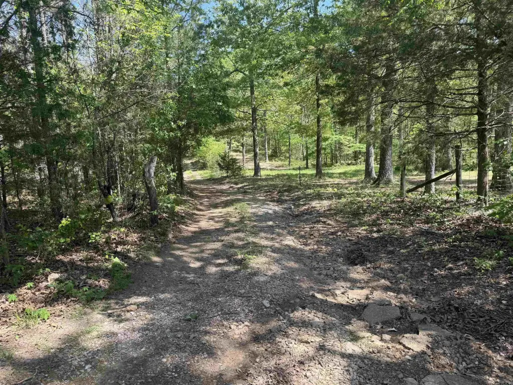 Picture 33