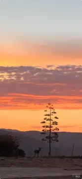 Buildable Lot with Lake Views