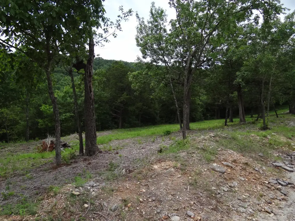 Picture 9