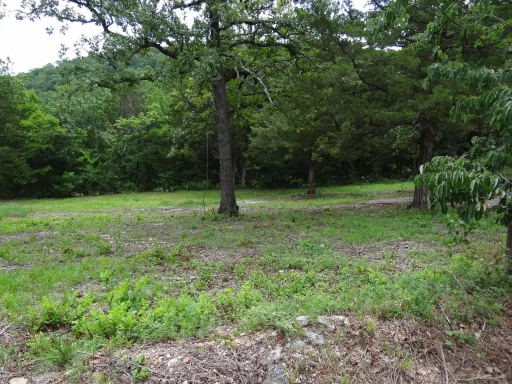 Picture 12