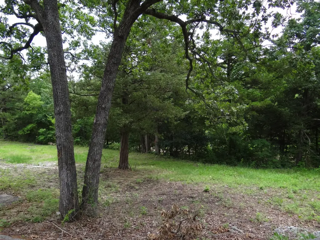 Picture 11