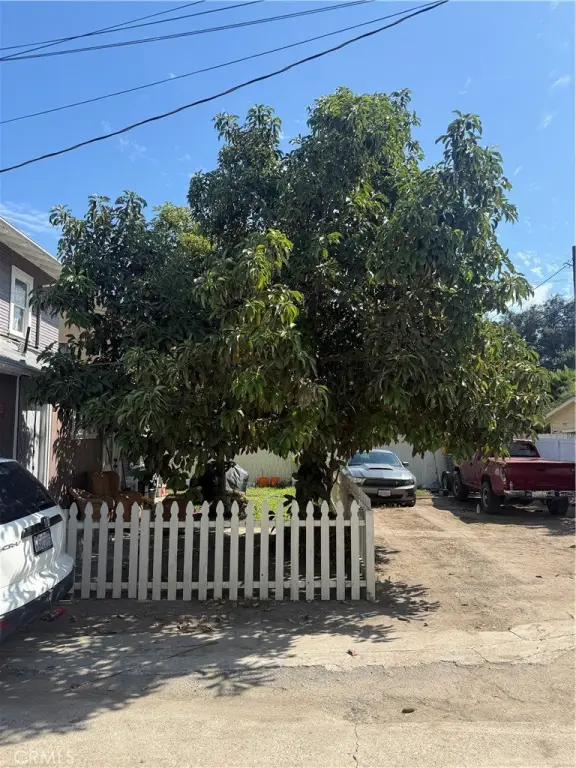 Picture 9