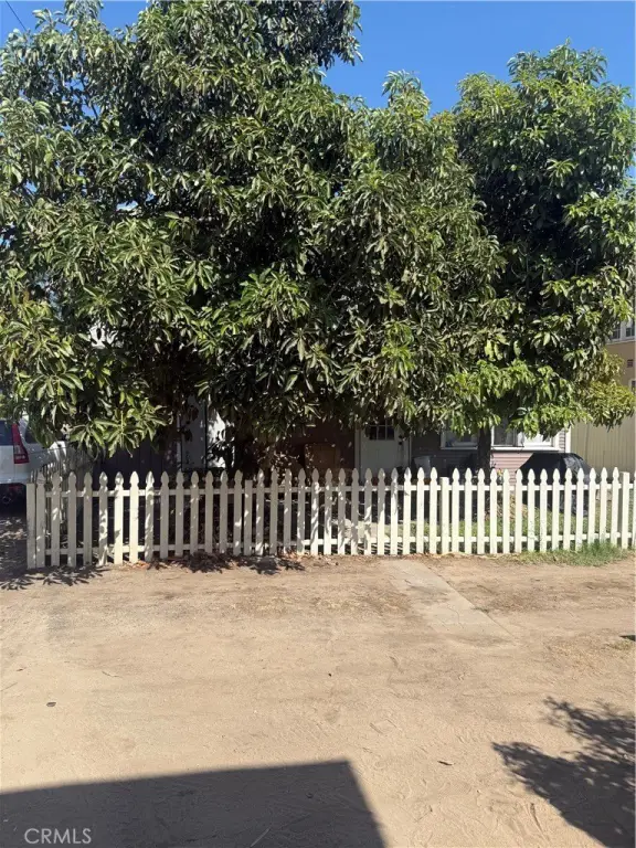 Picture 10