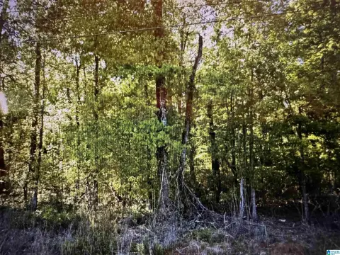 Vacant Land Near Trussville