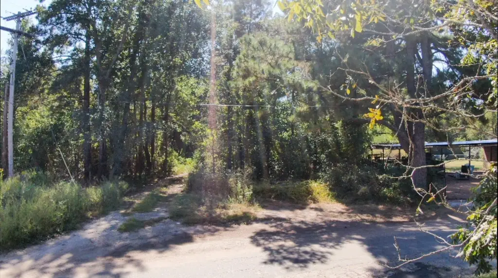 Picture 2