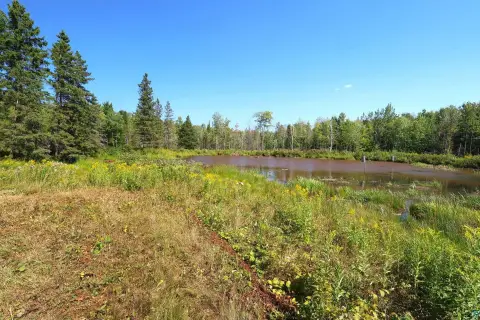 Wooded Agricultural Land with Pond