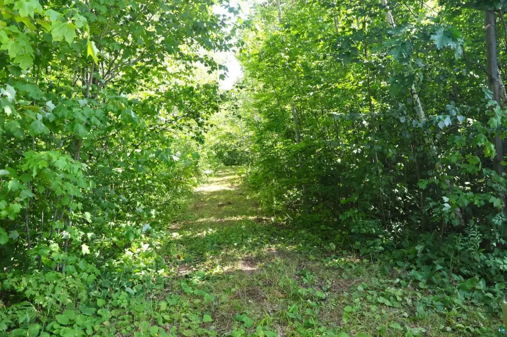 Picture 19