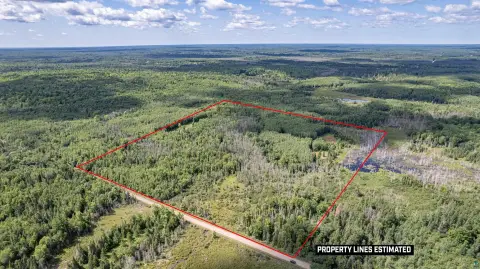 Hunting Land with Cabin