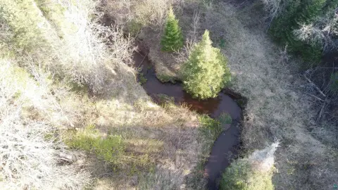 Waterfront Land with Creek