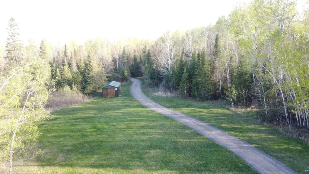Picture 4