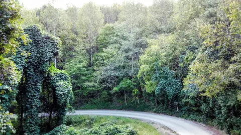 Unrestricted Wooded Land Near Barbourville