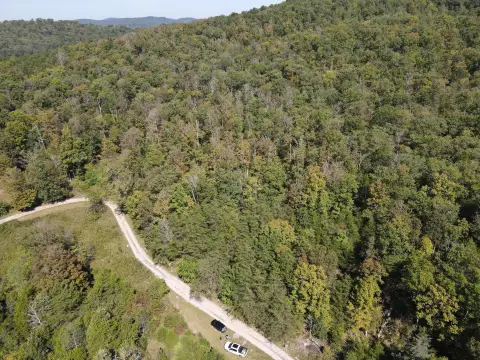 Undeveloped Wooded Land in Mt Vernon