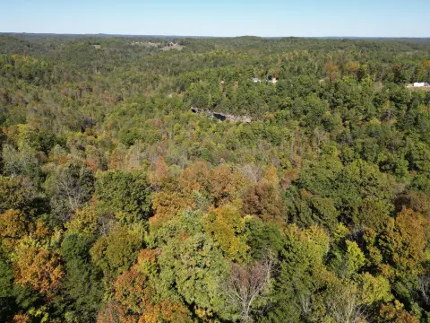 East Bernstadt Land with Creek