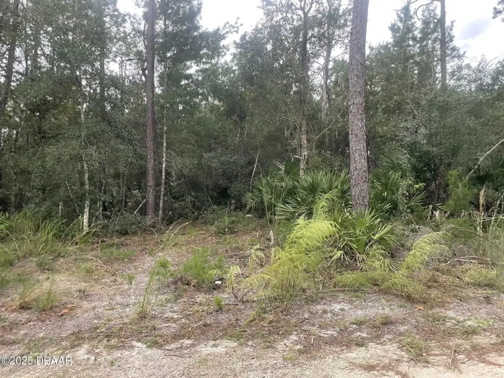 Picture 15
