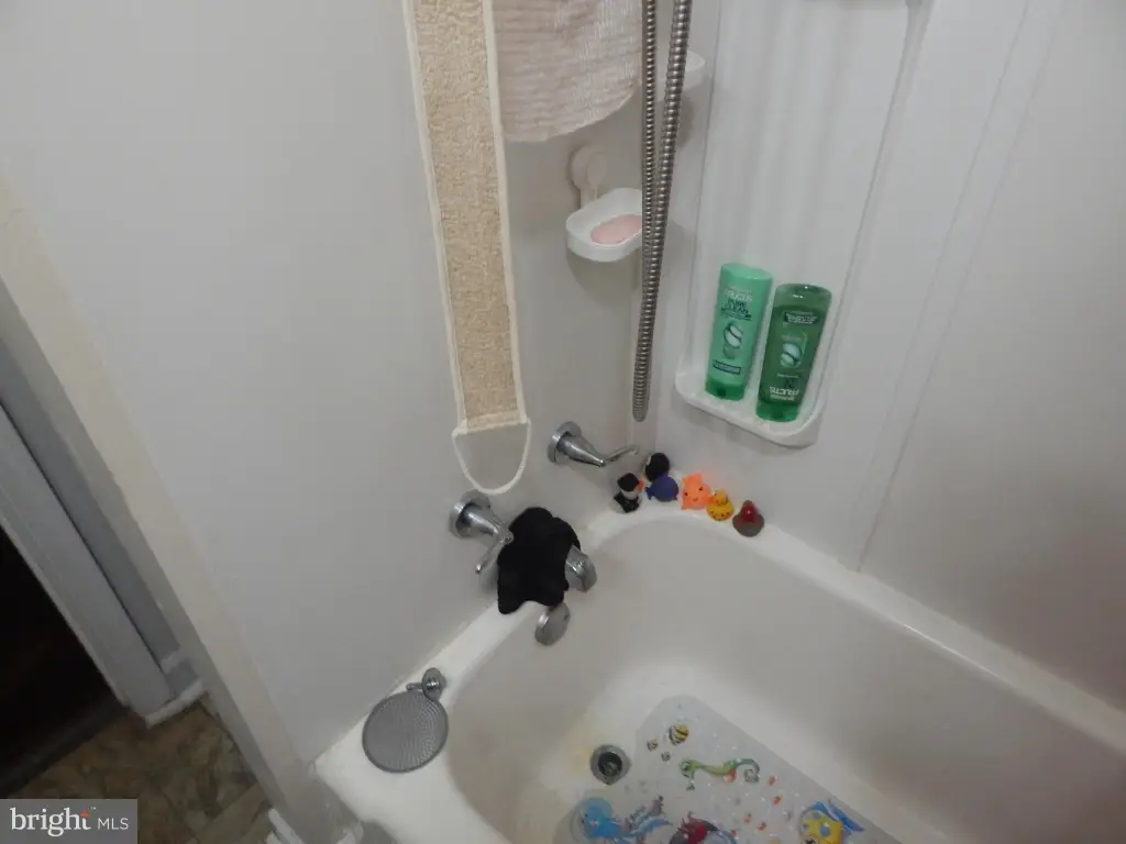 Picture 25