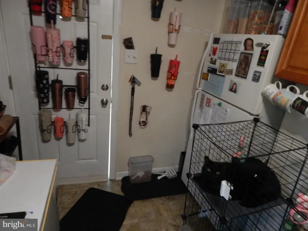 Picture 19