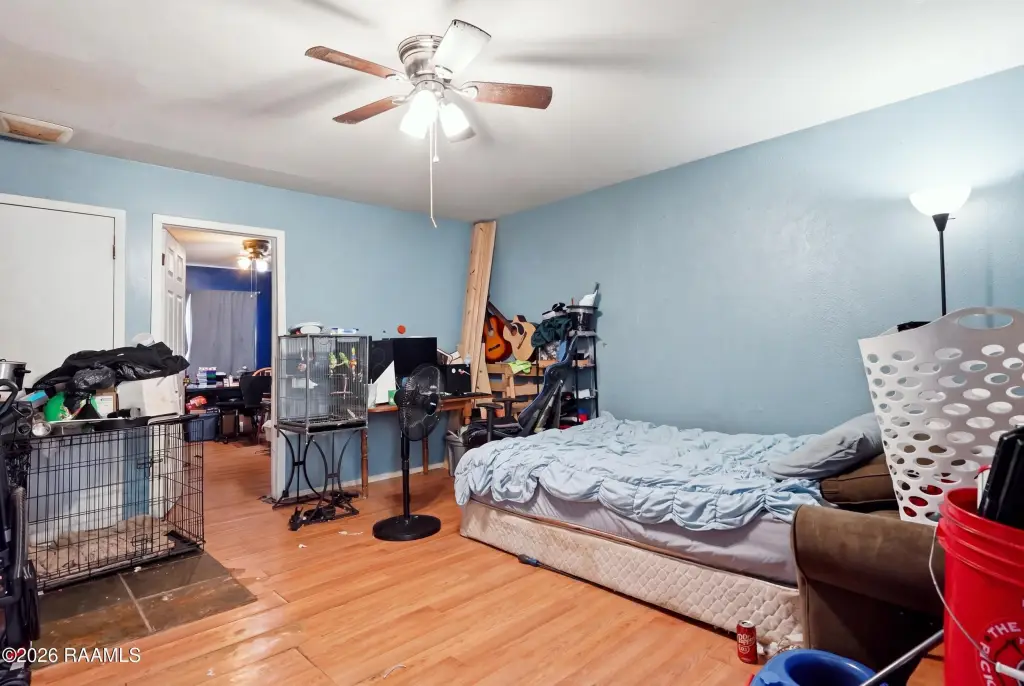 Picture 19