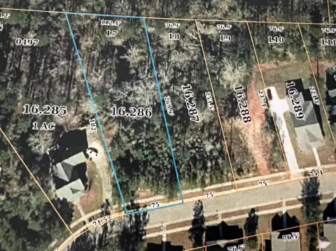 Residential Land in Bellegrass Community