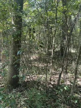 Hattiesburg Wooded Lot on River