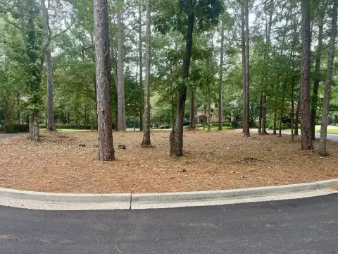 Residential Land in Canebrake Community
