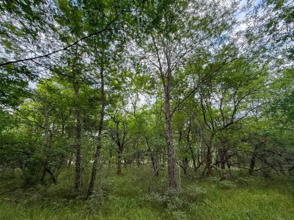Picture 22