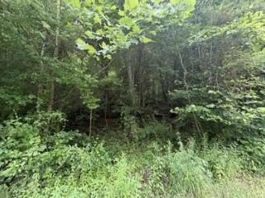 Picture 10