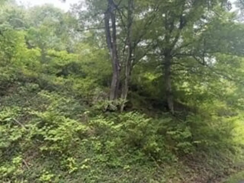Picture 4