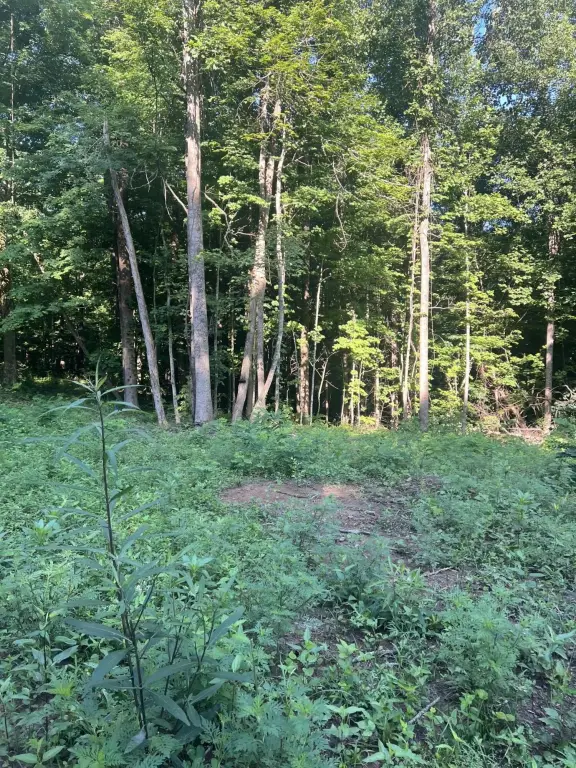 Picture 21