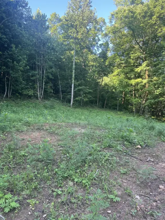 Picture 18
