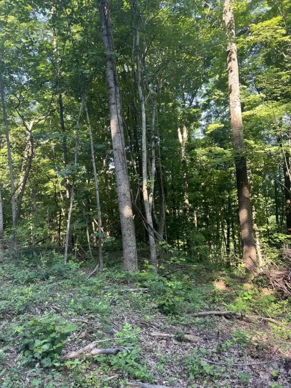 Picture 30